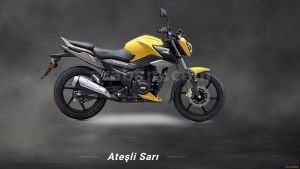 TVS RAIDER 125